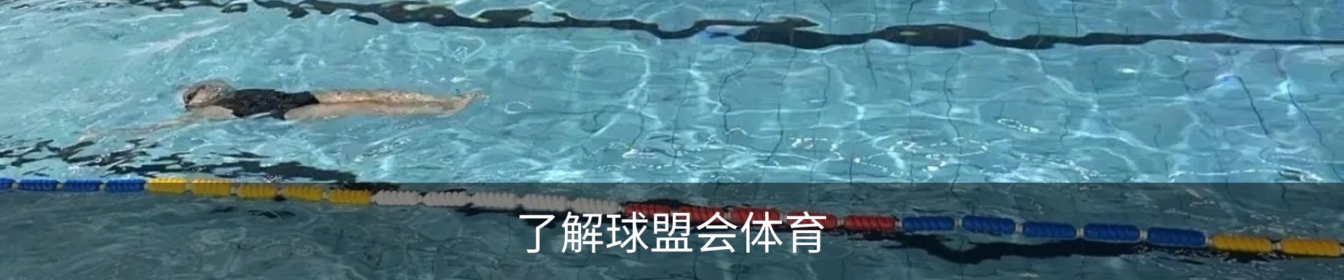 了解球盟会体育