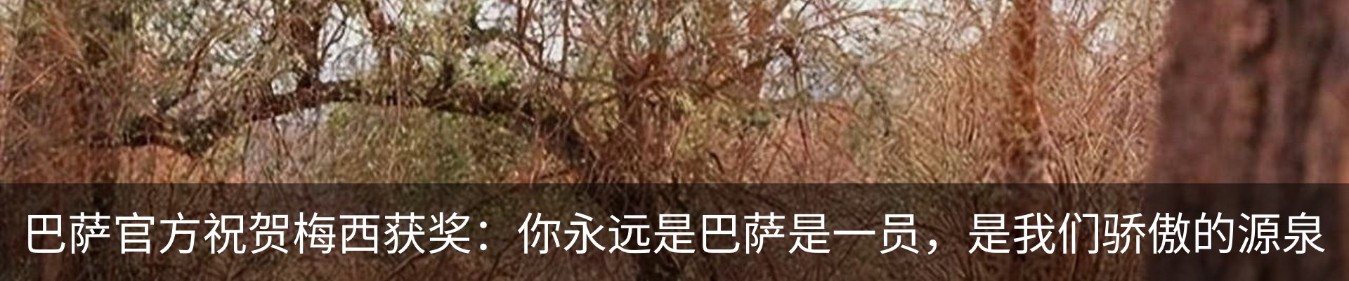 行业资讯